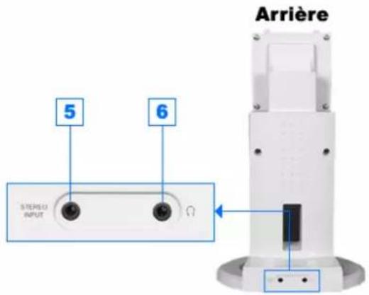 SAMSUNG SyncMaster 191N - (La configuration au dos du moniteur peut être différente d'un modèle à l'autre.) - 19