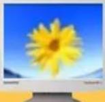 SAMSUNG SyncMaster 191N - Point acceptable - 1