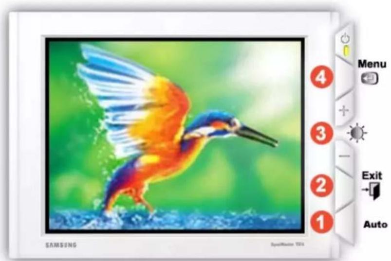 SAMSUNG SyncMaster 191N - Affichage Sur Ecran - 1