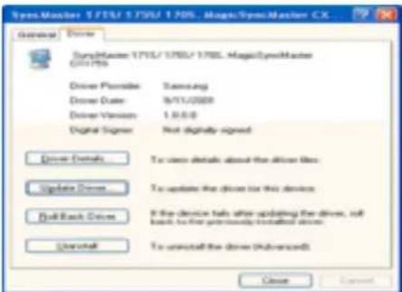 SAMSUNG SyncMaster 172V - 30