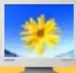 SAMSUNG SyncMaster 172V - Dot anwendbar - 1