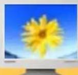 SAMSUNG SyncMaster 172V - Dot anwendbar - 1