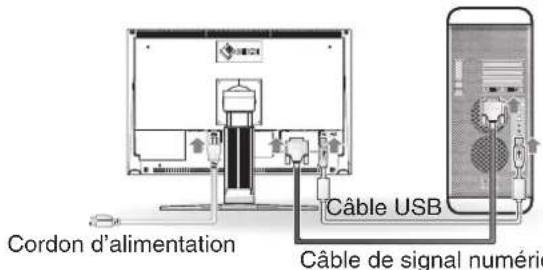 EIZO CG241WBK - Connexion des câbles - 1