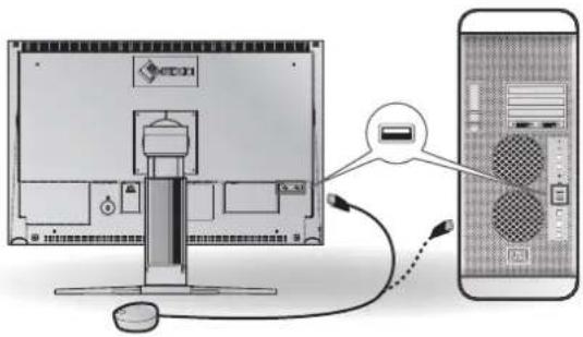 EIZO CG241WBK - Connecting the measurement device - 1