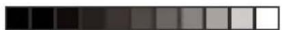 IIYAMA ProLite E2200WS - Direct - 1