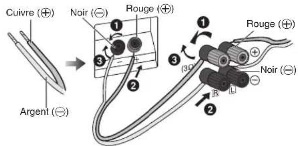 PANASONIC SCPMX4 - Raccordement des enceintes - 1