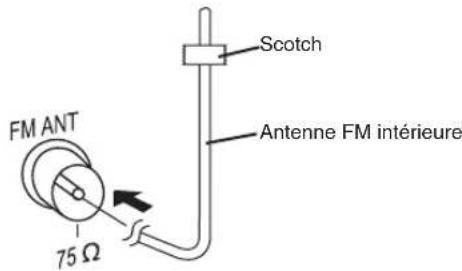 PANASONIC SCPM52 - Raccordements - 2