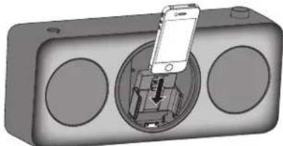 PANASONIC SCGT07E - Inserimento di un iPod/iPhone - 3
