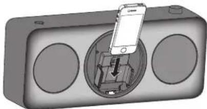 PANASONIC SCGT07E - Einsetzen eines iPods/iPhones - 3