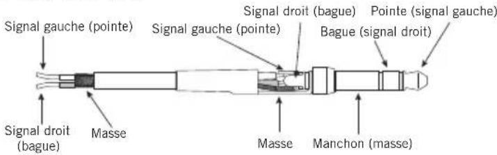 SAMSON Expedition XP1000 - Connecteur stéreo TRS 3,5 mm - 1