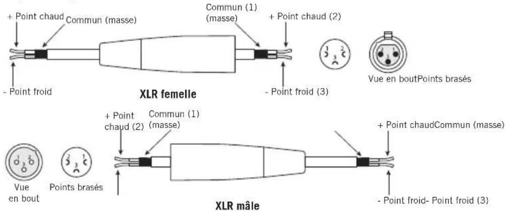 SAMSON Expedition XP1000 - Connecteur XLR symétrique - 1