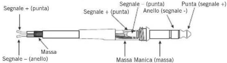 SAMSON Expedition XP1000 - Guida al cablaggio - 2