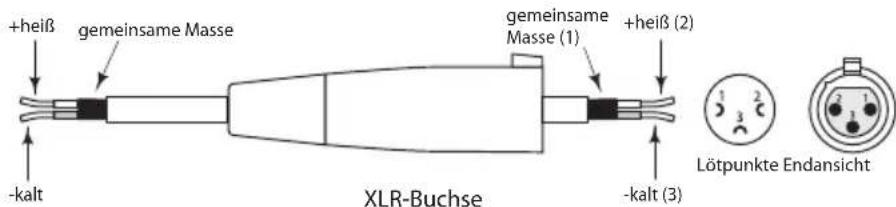 SAMSON Expedition XP150 - XP150 Verdrahtungsanleitung - 3