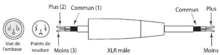SAMSON Expedition XP150 - XLR symétrique - 2