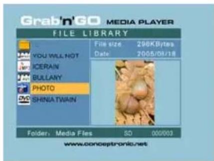 CONCEPTRONIC CMED3PLUS - AVVISO: - 2