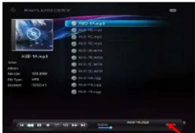 STOREX SlimBox - MUSIC - 1