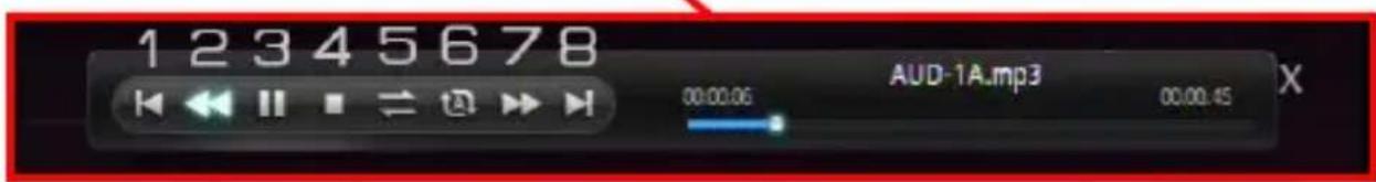 STOREX SlimBox - MUSIC - 2