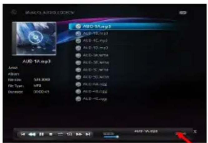 STOREX SlimBox - MUSIC - 1