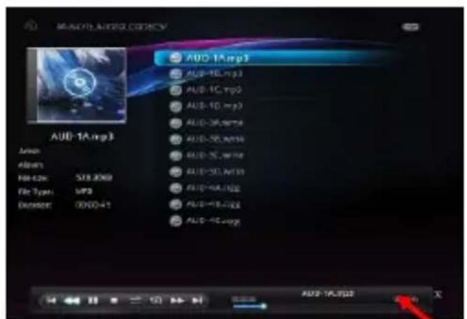 STOREX SlimBox - MUSIC - 1