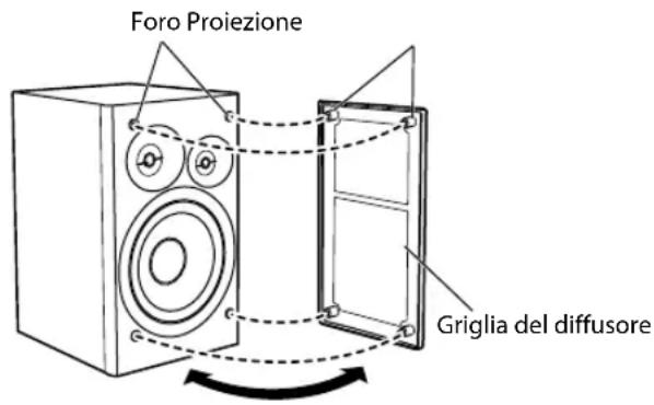JVC CAUXG980 - Pulizia del sistema - 1