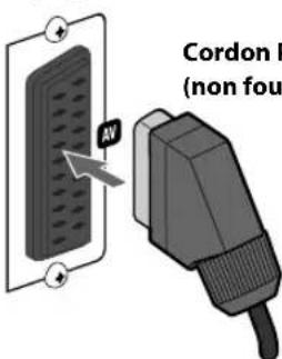 JVC CAUXG980 - Connectez soit le cordon en composantes ou soit le cordon Péritel. - 2