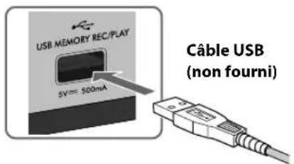 JVC CAUXG950 - Lors de la connexion d'un périphérique USB à mémoire de grande capacité - 1