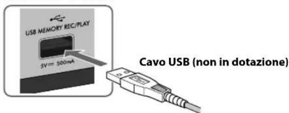JVC CAUXG950 - Collegamento di un'unità USB di memoria di massa - 1