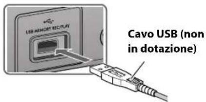 JVC CAUXG500 - Collegamento di un'unità USB di memoria di massa - 1
