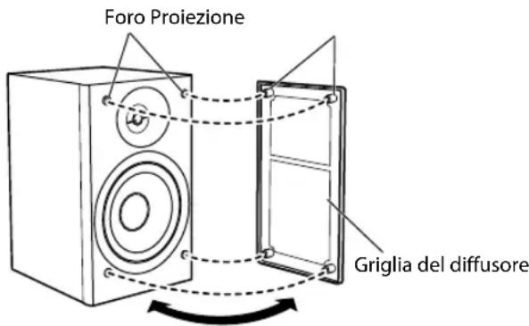 JVC CAUXG500 - Pulizia del sistema - 1