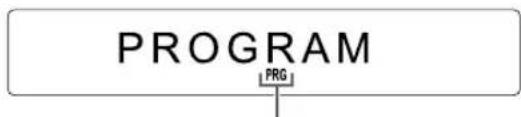PROGRAM PRG