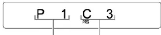 P 1 C 3 PRG