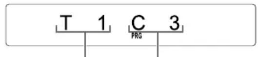 T 1 C 3 PRG