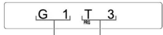 G 1 T 3 PRG