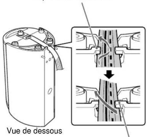 Vue de dessous