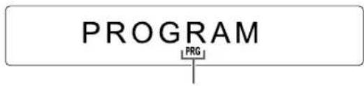 PROGRAM PRG