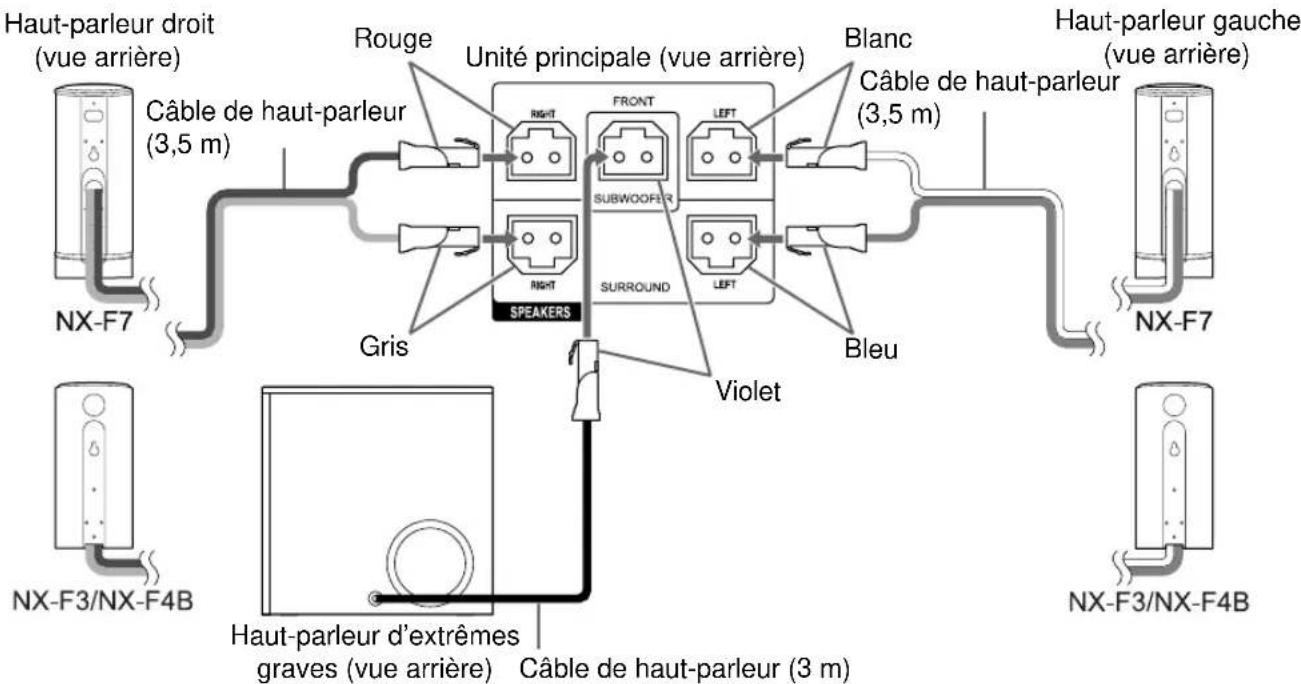 Haut-parleur droit (vue arrière) Câble de haut-parleur (3,5 m) NX-F7 Rouge Unité principale (vue arrière) FRONT LEFT Blanc Câble de haut-parleur (3,5 m) SPEAKERS GRIS SURROUND LEFT Violet Bleu NX-F7 Haut-parleur gauche (vue arrière) NX-F3/NX-F4B Haut-parleur d'extrêmes graves (vue arrière) Câble de haut-parleur (3 m)