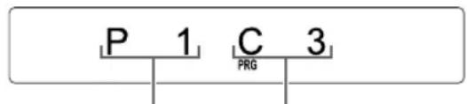 P 1 C 3 PRG