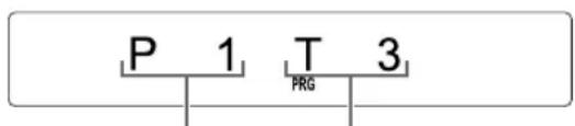 P 1 T 3 PRG