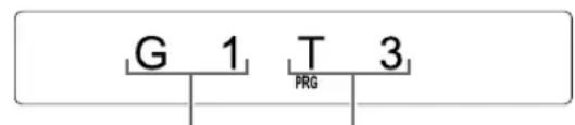 G 1 T 3 PRG