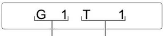 G 1 T 1