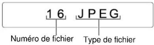 1 6 J P E G Numéro de fichier Type de fichier