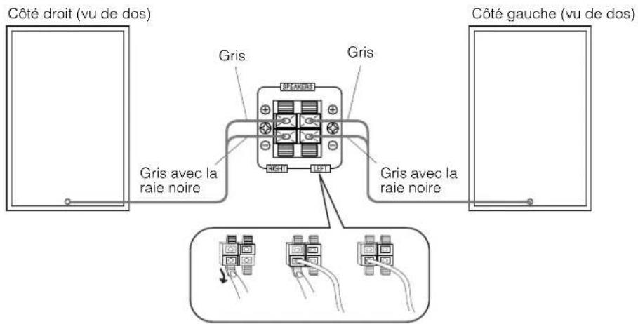 JVC CAMXKC45 - Branchement des enceintes acoustiques - 1