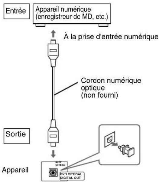 JVC CAEXD5 - Connexion d'un apparéil numérique - 2