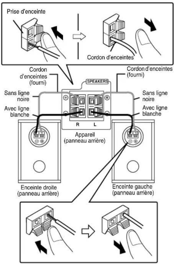 JVC CAFSXA1 - Connexion des enceintes - 1