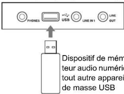 PHONES USB LINE IN 1 LINE OUT Dispositif de mémmé teur audio numéric tout autre apparei de masse USB