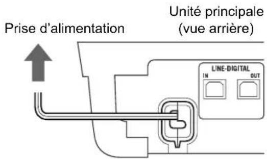 Prise d'alimentation Unité principale (vue arrière) LINE-DIGITAL IN OUT