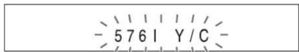 - 5761 Y/C -