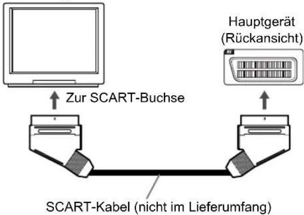 Zur SCART-Buchse SCART-Kabel (nicht im Lieferumfang) Hauptgerät (Rückansicht)