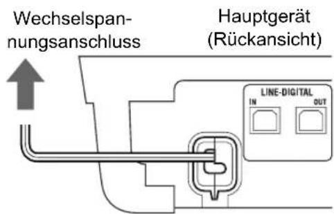 JVC CADD8 - Anschlieben des Netzkabels - 1