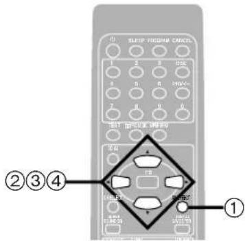 TECHNICS SCEH780 - SUPER SURROUND - 4